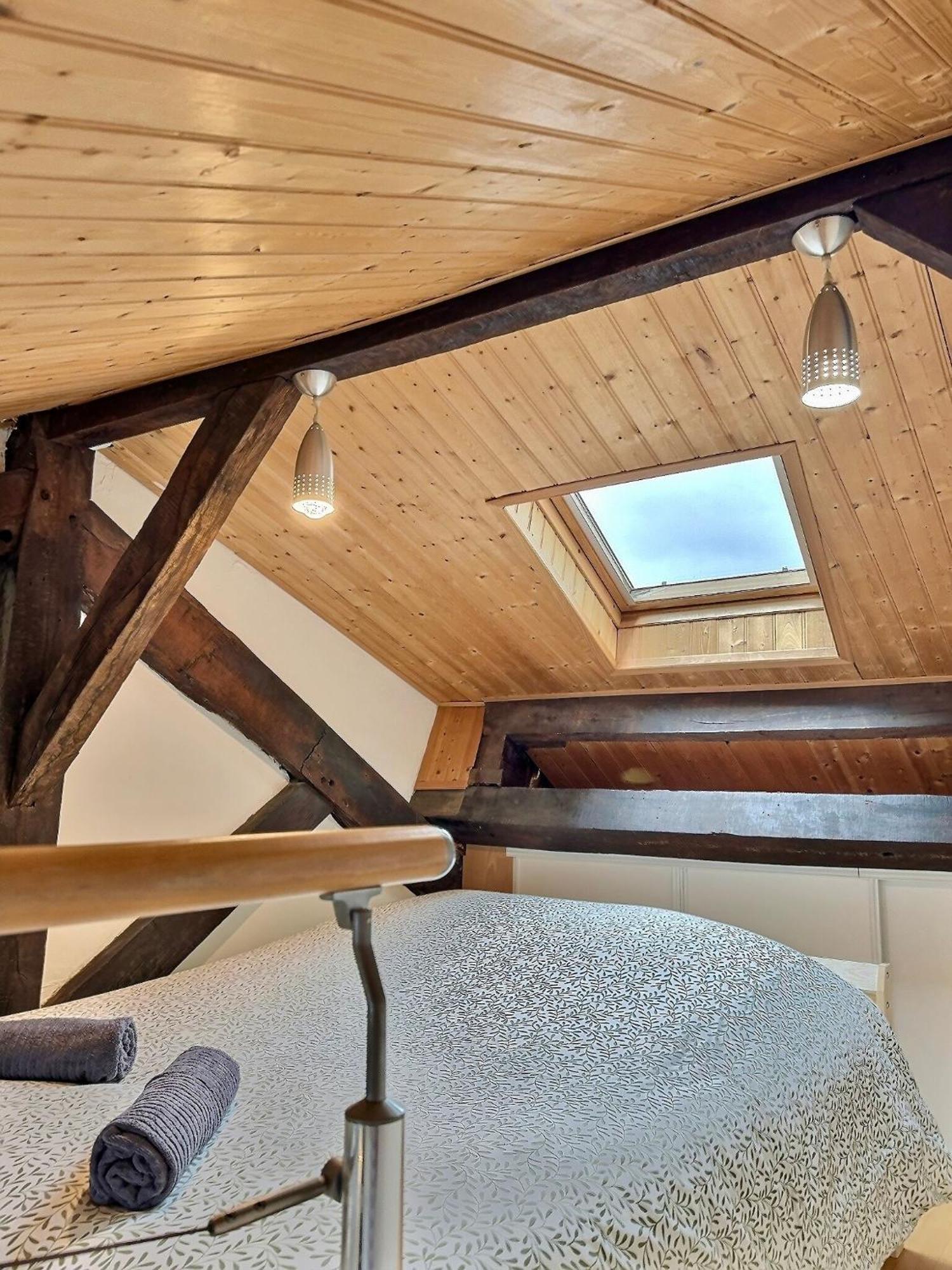 Wonderhost, Spacieux Et Atypique En Coeur De Ville Pau Dış mekan fotoğraf